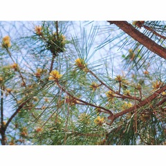 Optional("75776807-51E1-4504-A607-D9374D6291AB/L0/001")