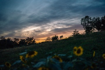 14720384-380C-4B8E-942F-4BD293E46D77/L0/001
