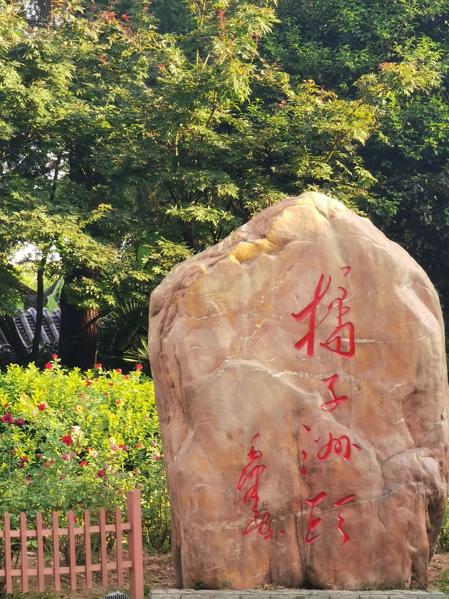 独立寒秋湘江北去橘子洲头看万山红遍层林尽染漫江碧透百舸争流