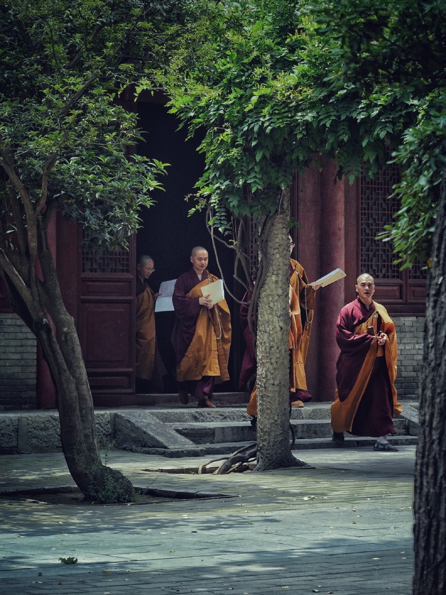 佛门弟子|大兴善寺 摄影:23photo