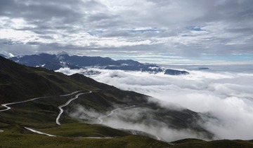 DSC02341 (3)