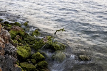 _DSC9352