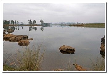 _DSC9542