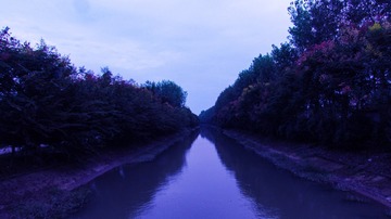 1445191