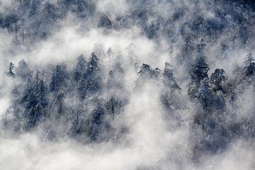 1079371