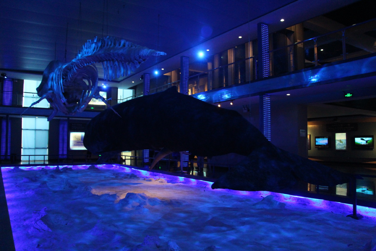 威海刘公岛鲸馆