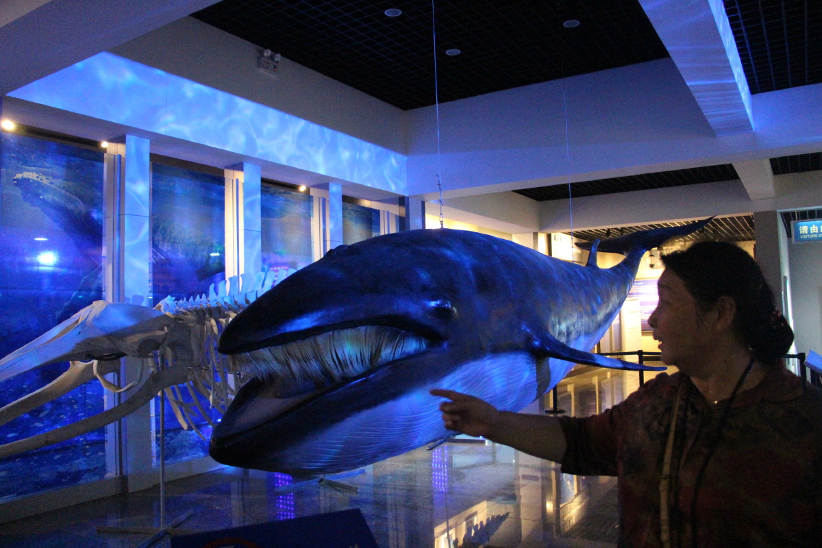 威海刘公岛鲸馆