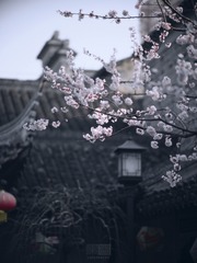 A4A0A446-6C44-4560-9E47-8125657B625D/L0/001