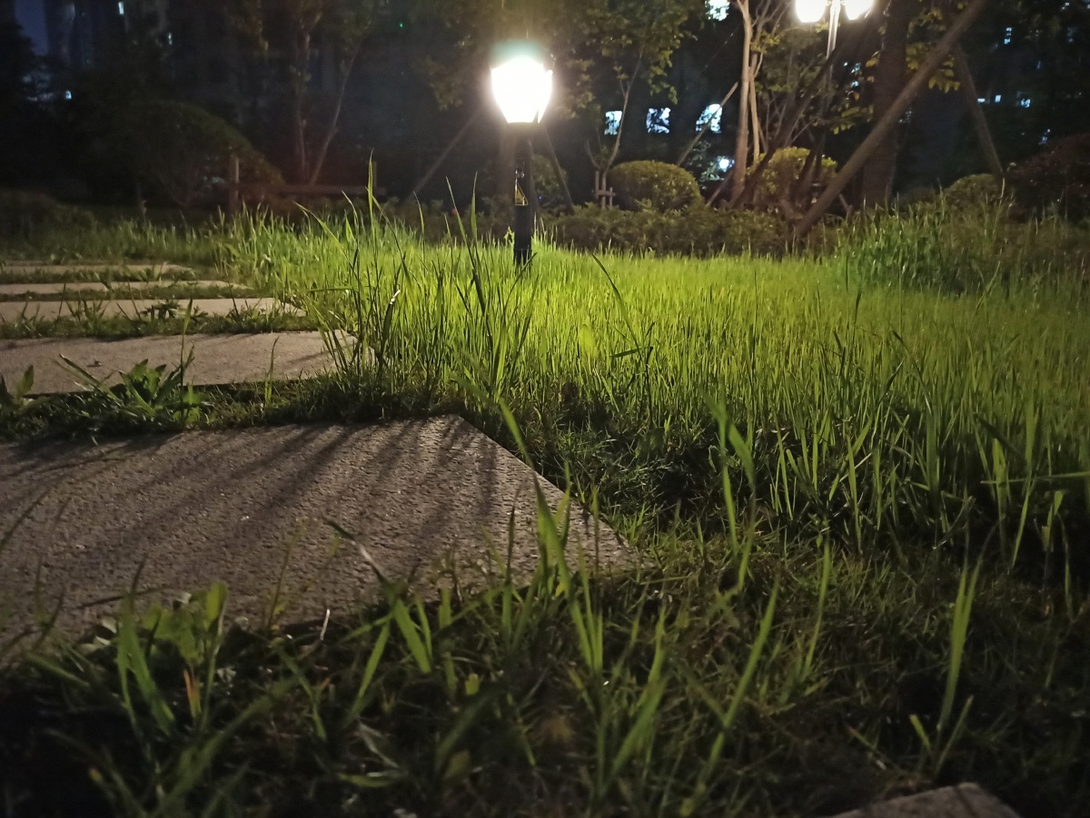 光与影矮矮的小路灯照亮我回家的路