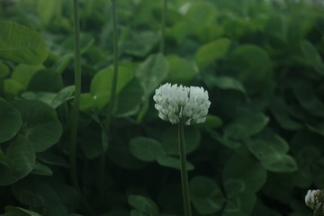 765CDBD0-C93E-4C71-BD8E-B174815D427F/L0/001