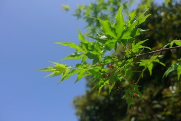 50E8721D-5E92-4D00-B5C4-C461BFE20D34/L0/001