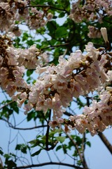 864B95DF-F896-4B64-9549-D4DE9498BA16/L0/001