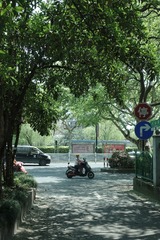 A68EE311-5D10-4B06-8052-34638D8ED6C1/L0/001