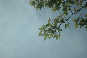 E6E40DF5-6C0A-4B6C-B4A0-B51094D416F8/L0/001