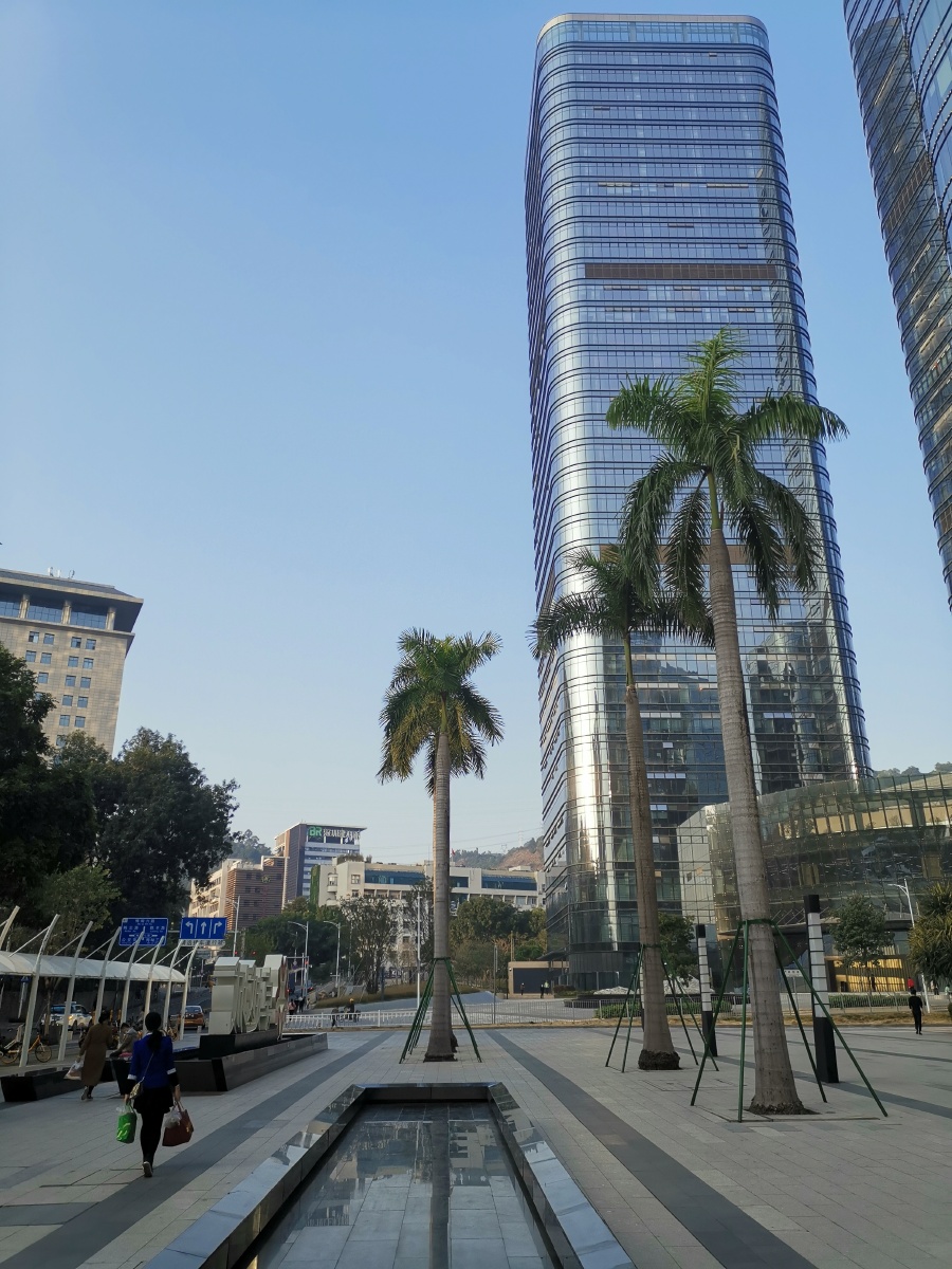 深圳福田街景