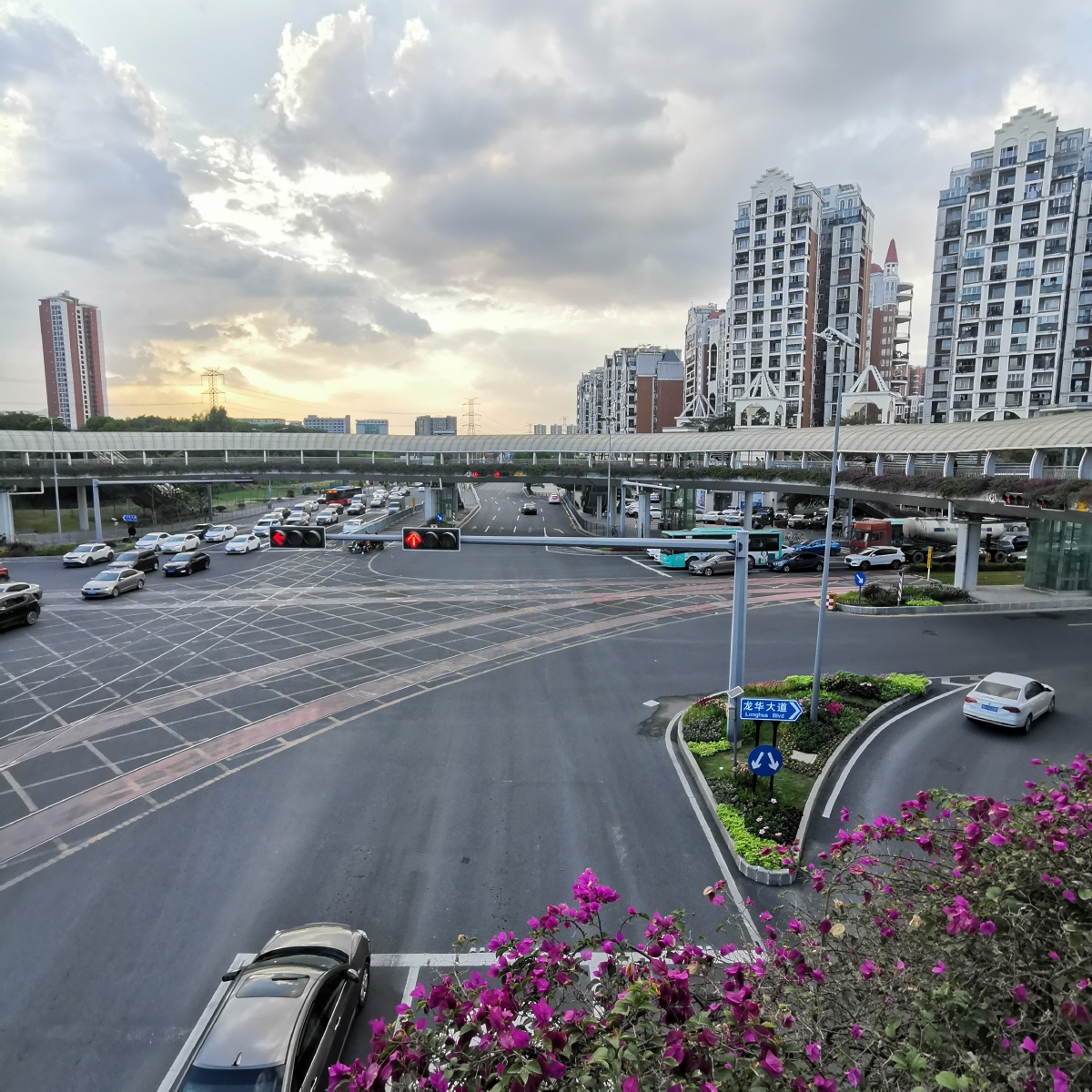 深圳龙华观湖街景