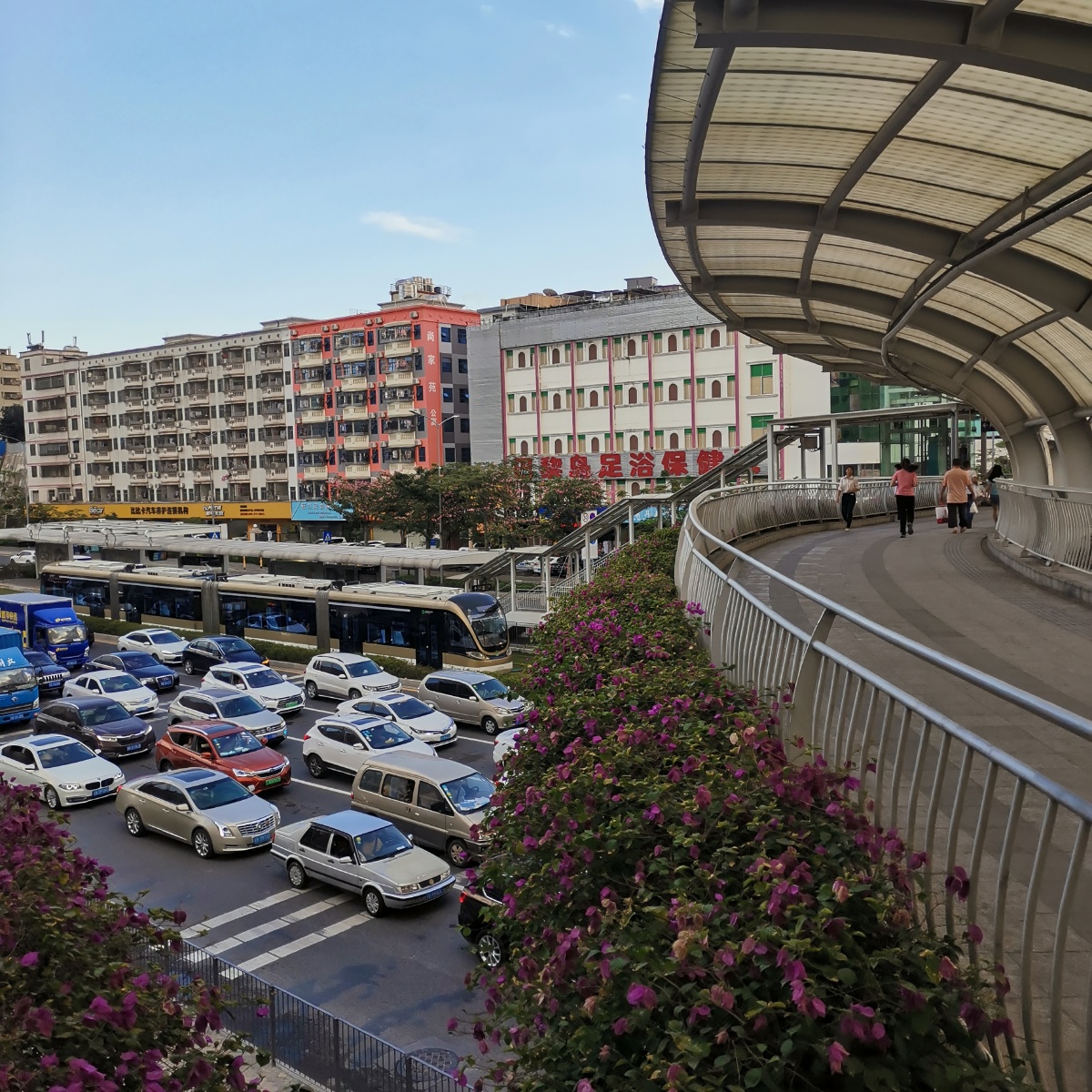 深圳龙华观湖街景