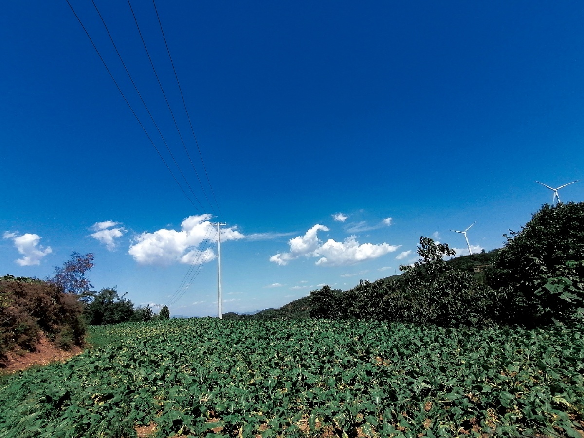 鞠一捧蓝天蓝的纯粹,蓝的深邃