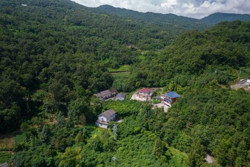DJI_0366