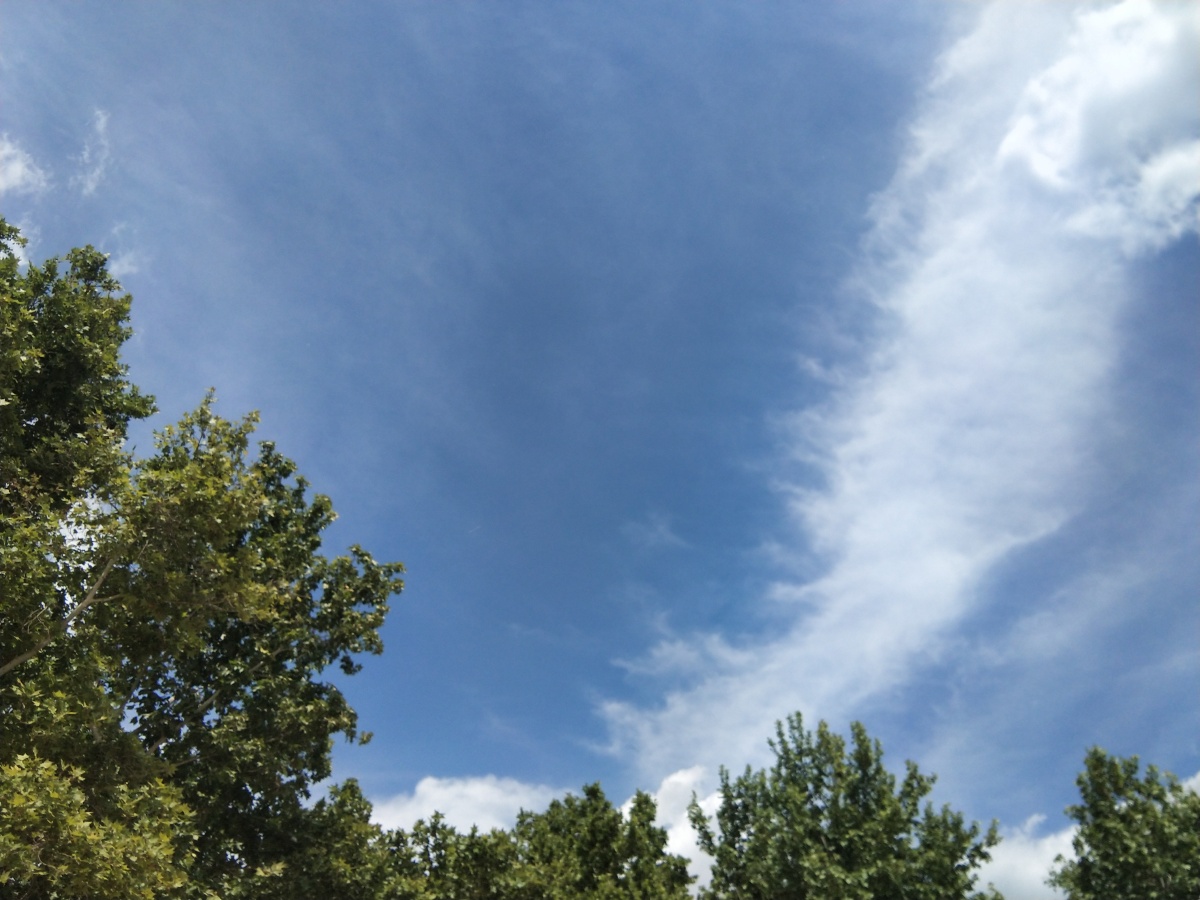 一组日常随手拍摄的风景图一起发现身边的美