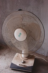 273551