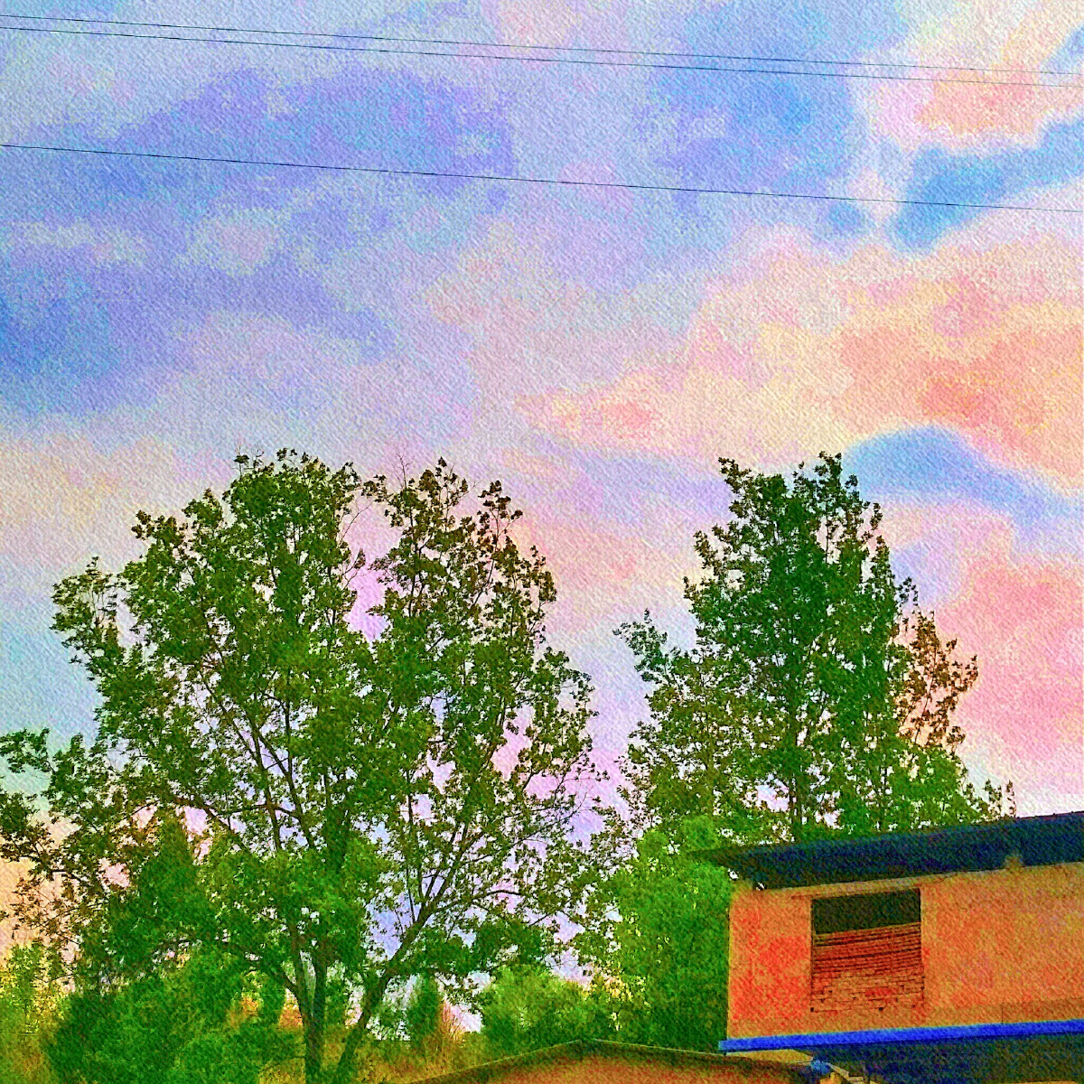 捕捉生活中的小美好鸭!