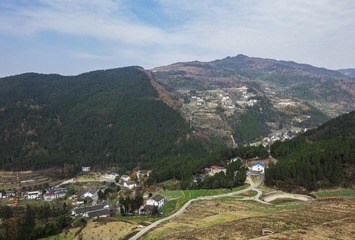 DSC05350
