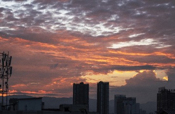 DSC06910