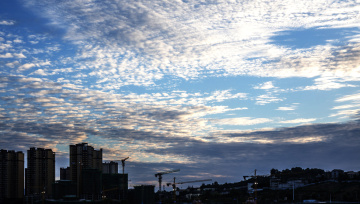 DSC03309