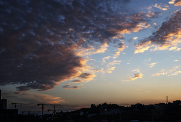 DSC03231