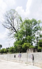 DSC00150