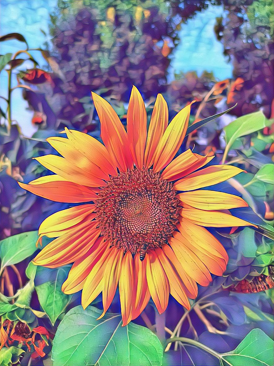 884_1180竖版 竖屏