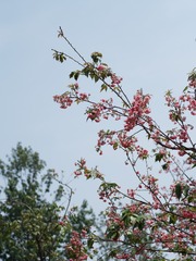 5E24BB7A-D0B6-4EA8-B114-896F798D64AE/L0/001