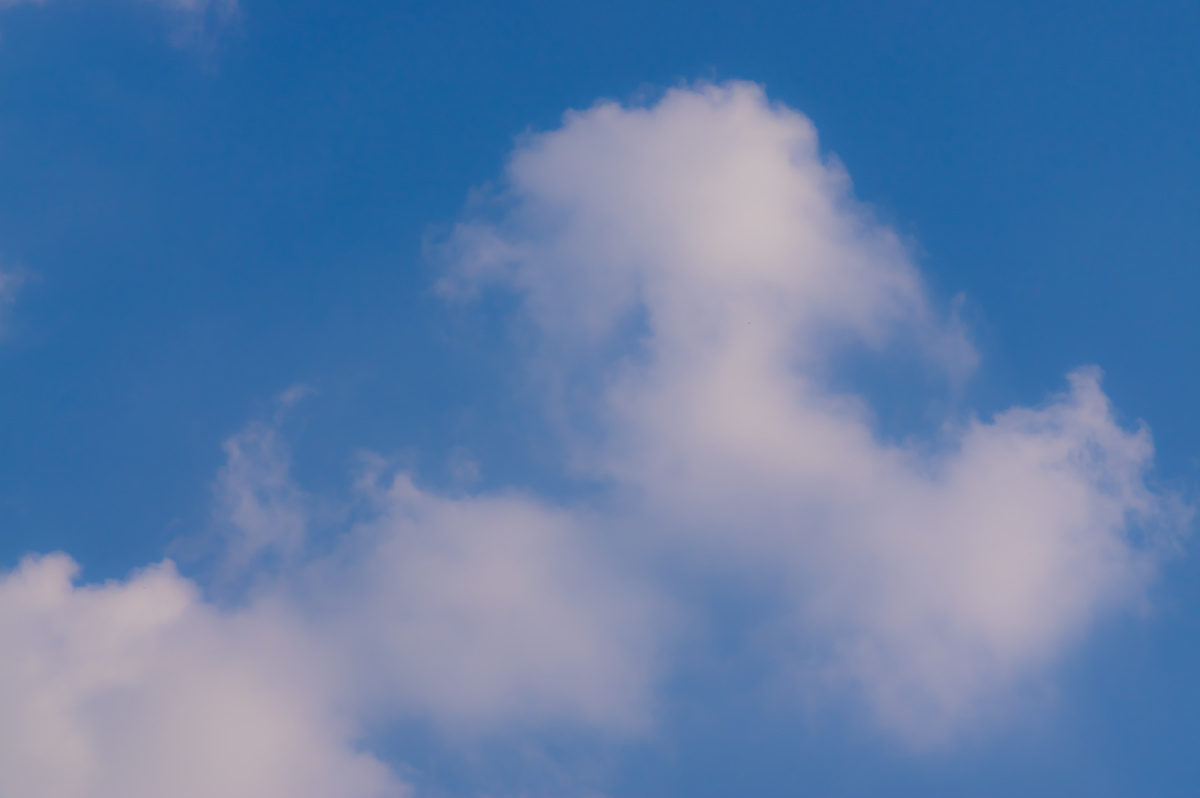 桌面壁纸bz屏保pb的美