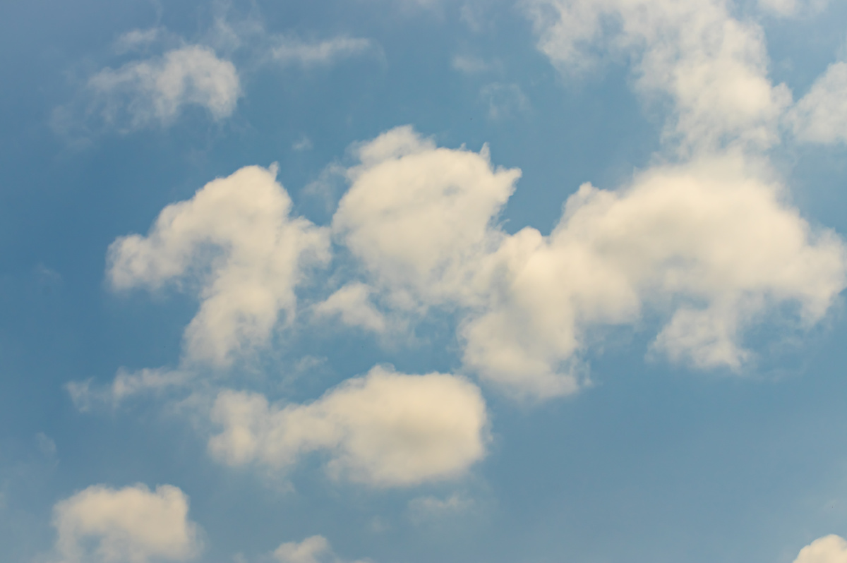 桌面壁纸bz屏保pb的美