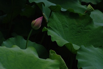 17543
