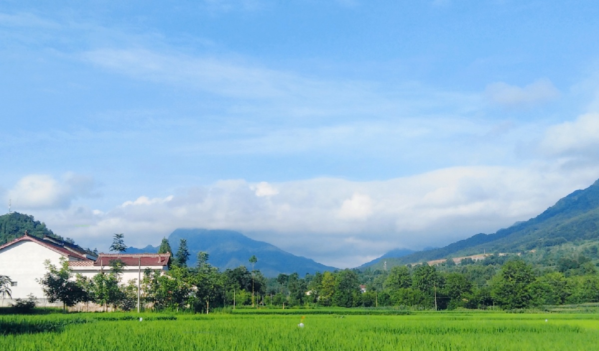 一张早上的照片四种不同的样子你更喜欢哪一张