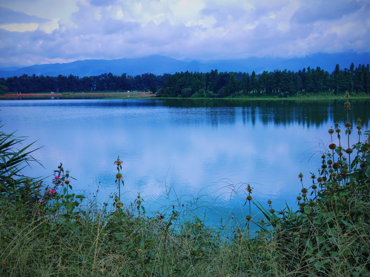 连续的大雨池塘的水都快满了雨过天晴水面倒映着两岸和天空