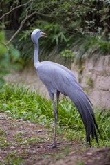 CR5_9679