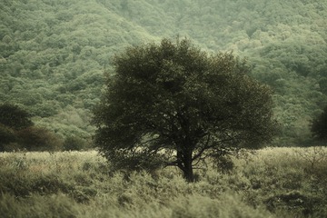 95BDBF8A-D7AC-493A-8535-F665E0DCA107/L0/001