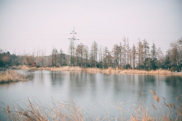 20170215-_DSC3377