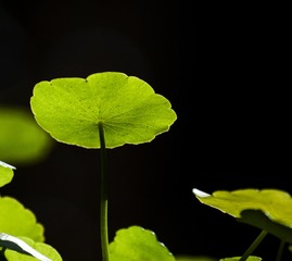 40191