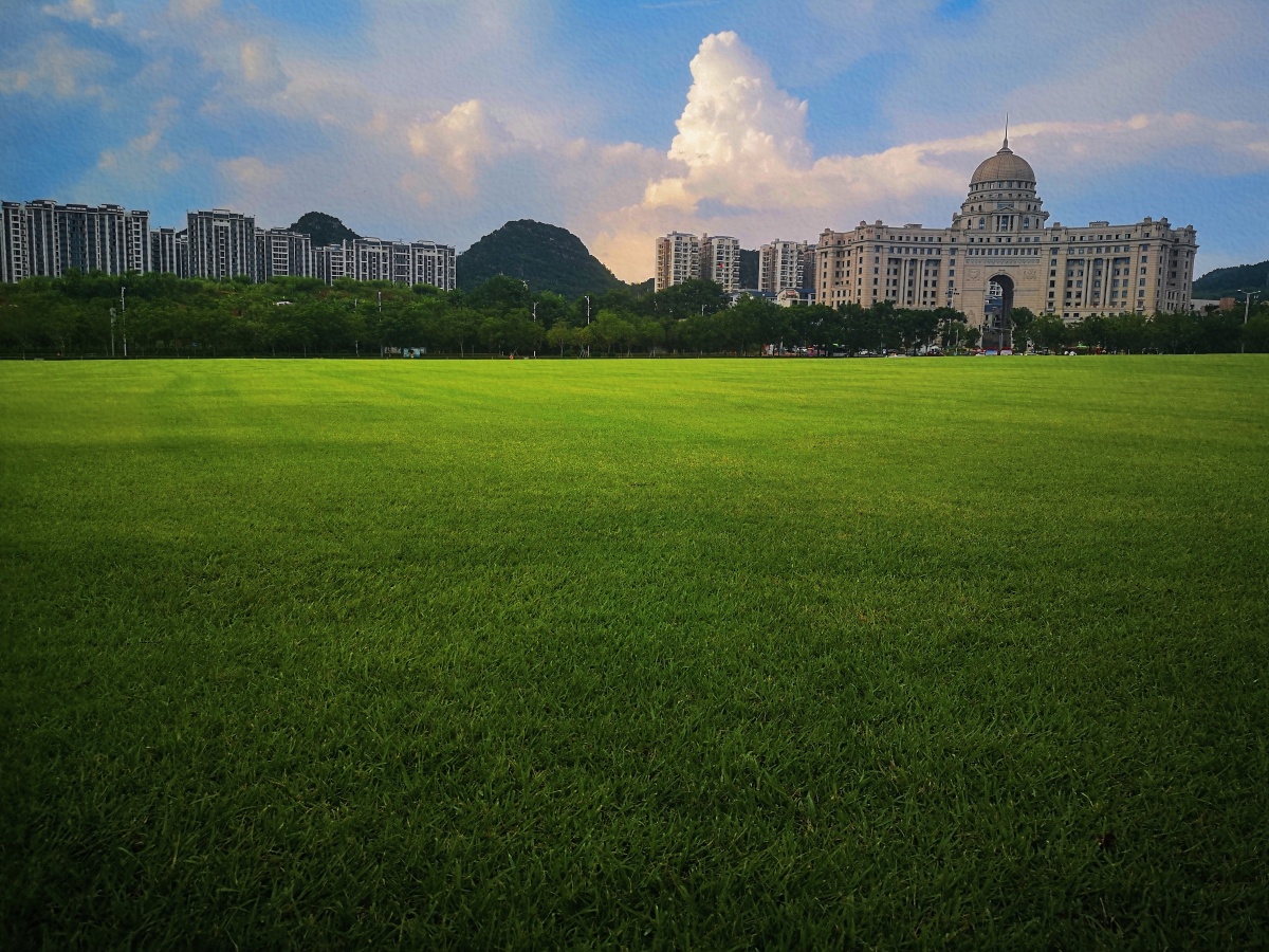 绿茵草坪与建筑