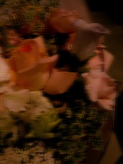 34650C43-FB2F-41AE-AF70-D9F332325E5E/L0/001