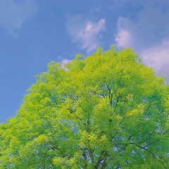 CAB95A74-9694-47BB-909F-FF93F3720EC7/L0/001