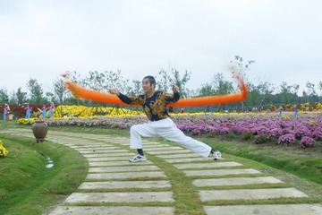 龙腾虎步健乐园