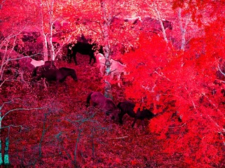 未命名--13