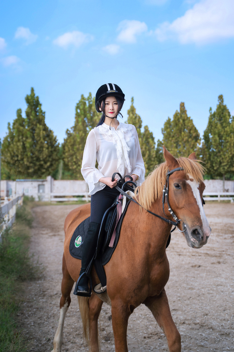 骑马的公主