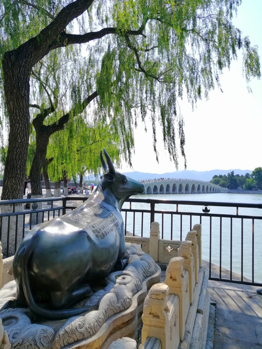 南堤铜牛摄于颐和园昆明湖南堤