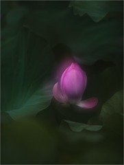1522893